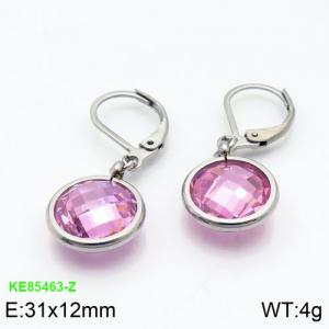 Stainless Steel Stone&Crystal Earring - KE85463-Z