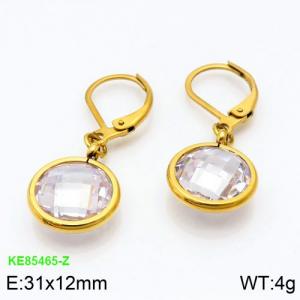 Stainless Steel Stone&Crystal Earring - KE85465-Z