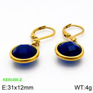 Stainless Steel Stone&Crystal Earring - KE85466-Z