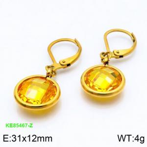 Stainless Steel Stone&Crystal Earring - KE85467-Z