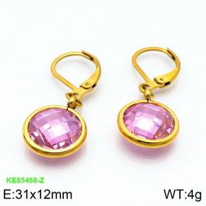 Stainless Steel Stone&Crystal Earring - KE85468-Z