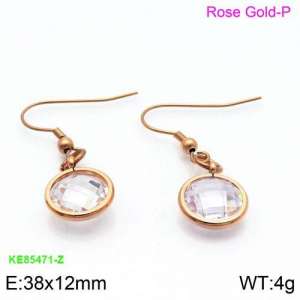 Stainless Steel Stone&Crystal Earring - KE85471-Z