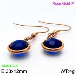 Stainless Steel Stone&Crystal Earring - KE85472-Z