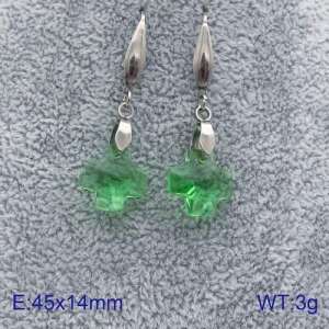 Stainless Steel Stone&Crystal Earring - KE86961-Z