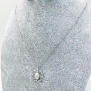 Stainless Steel Necklace - KN289152-SP