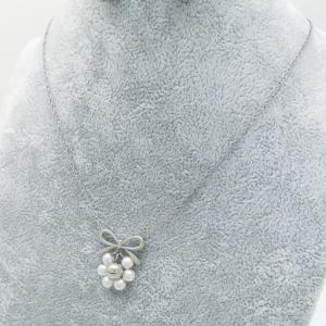 Stainless Steel Necklace - KN289156-SP