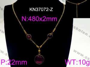 Stainless Steel Stone & Crystal Necklace - KN37072-Z