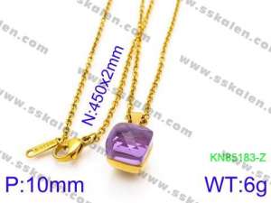 Stainless Steel Stone & Crystal Necklace - KN85183-Z