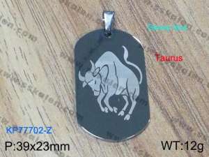 Stainless Steel Popular Pendant - KP77702-Z