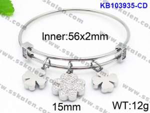 Stainless Steel Stone Bangle - KB103935-CD
