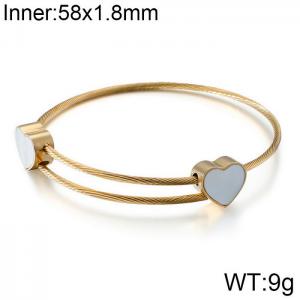 Stainless Steel Wire Bangle - KB108601-K