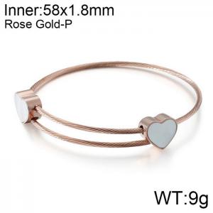 Stainless Steel Wire Bangle - KB108602-K