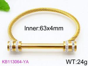 Stainless Steel Wire Bangle - KB113064-YA