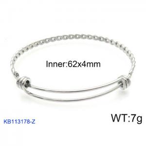 Stainless Steel Bangle - KB113178-Z