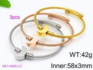 Stainless Steel Wire Bangle - KB114890-LO
