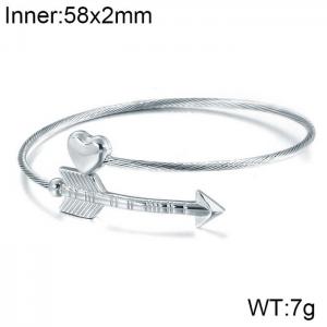 Stainless Steel Wire Bangle - KB117047-KFC