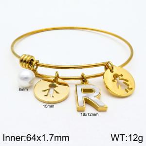 Stainless Steel Gold-plating Bangle - KB119029-Z