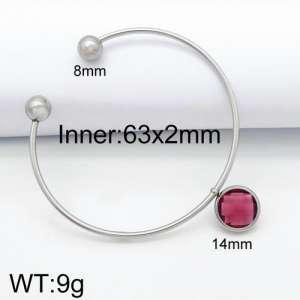 Stainless Steel Stone Bangle - KB124473-Z