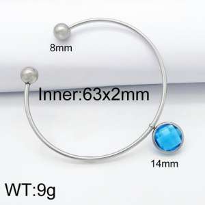 Stainless Steel Stone Bangle - KB124475-Z