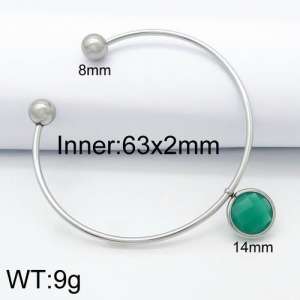 Stainless Steel Stone Bangle - KB124482-Z