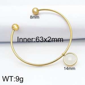 Stainless Steel Stone Bangle - KB124484-Z