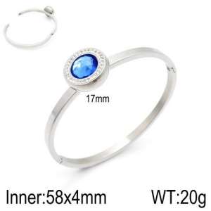 Stainless Steel Stone Bangle - KB127185-Z