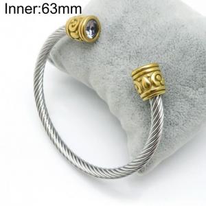 Stainless Steel Wire Bangle - KB155149-YA