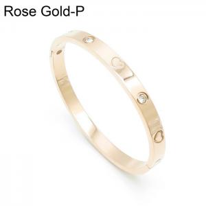 Stainless Steel Stone Bangle - KB157484-YH