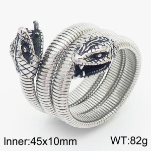 Creative double head snake wound titanium steel bracelet man - KB164777-KJX