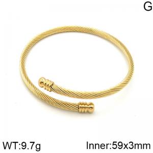 Stainless Steel Wire Bangle - KB182769-NT