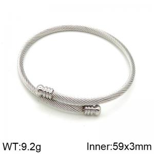 Stainless Steel Wire Bangle - KB182770-NT