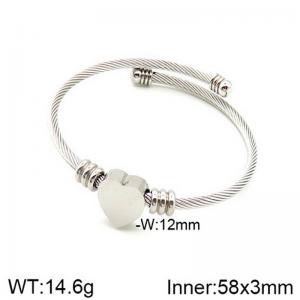 Stainless Steel Wire Bangle - KB182773-NT