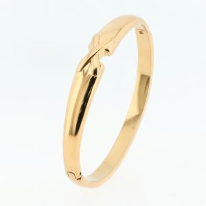 Stainless Steel Gold-plating Bangle - KB184847-SP
