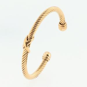 Stainless Steel Gold-plating Bangle - KB184870-SP