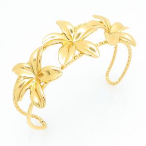Stainless Steel Gold-plating Bangle - KB209654-FA