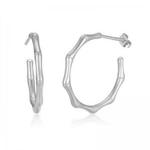 Stainless Steel Earring - KE112030-PA