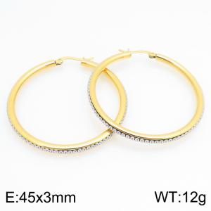 Stainless Steel Stone&Crystal Earring - KE122554-GC