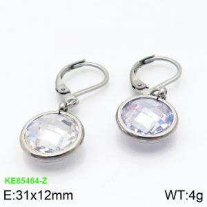 Stainless Steel Stone&Crystal Earring - KE85464-Z