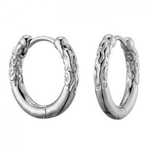 Stainless Steel Earring - KE98201-WGLN