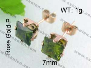 SS Gold-Plating Earring - KE40297-YX